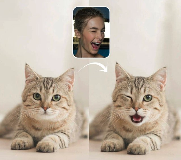 Style Reference Innovation